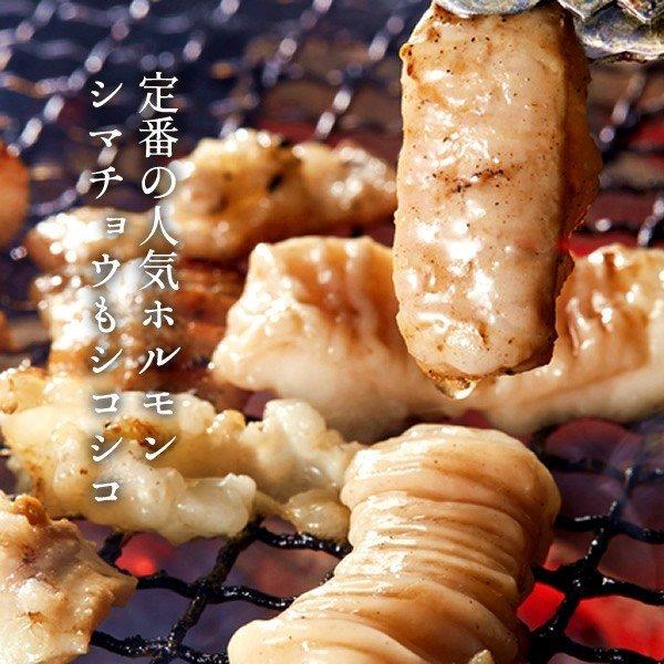 牛肉 鳥取県産牛 モツ ミックスホルモン 国産牛 焼き肉 やきにく 赤身 選べる 部位別 量り売り［お歳暮 2023 ギフト 御歳暮］