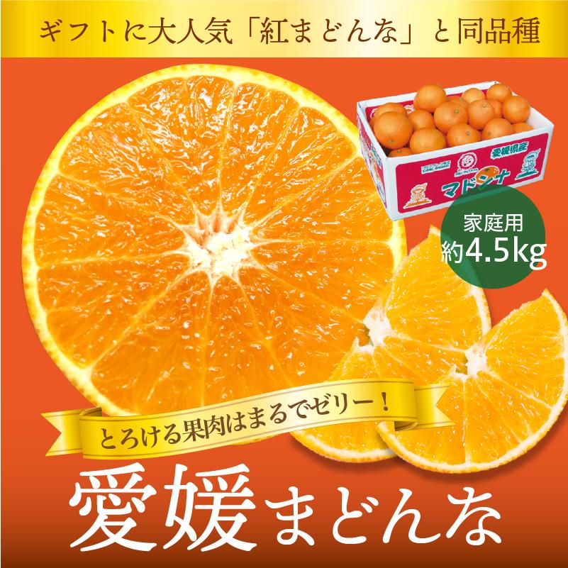 みかん 愛媛まどんな まどんな 家庭用 約4.5kg 愛媛産 送料無料 産地直送 柑橘 フルーツ 果物 お歳暮 2023 お歳暮2023 ギフト グルメ