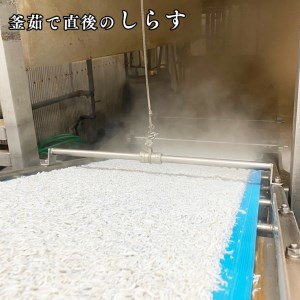 釜揚げしらす 1kg 天然 釜揚げ ふっくら しらす シラス ギフト 新鮮   離乳食 大洗 茨城県