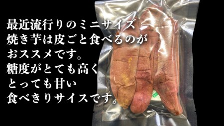 茨城県産 ミニ 焼き芋 6袋 入り イモ いも さつまいも サツマイモ さつま芋 スイーツ [CO005ci]