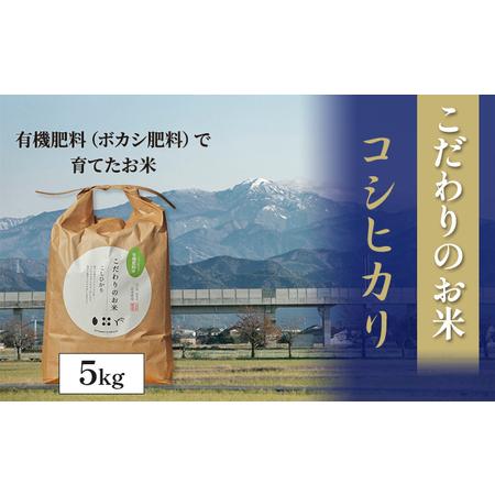 ふるさと納税 北本農場 「こだわりのお米」 令和5年度産　精米 5kg 石川県能美市