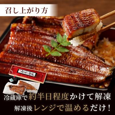 ふるさと納税 京丹後市 うなぎの蒲焼き2〜3人前(1尾)