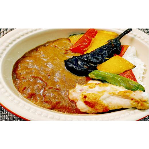 ふるさと納税 千葉県 富里市 得うまカレー（レトルト）180g×36パック