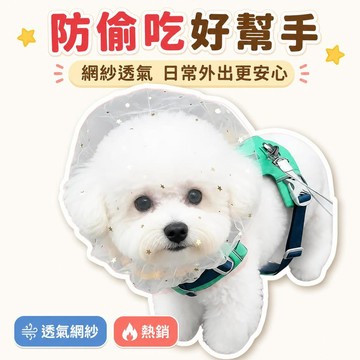 🌟熱銷🔔防偷吃亂吃白色網紗狗狗頭套小型犬泰迪比熊防咬防誤食麪罩3-10斤