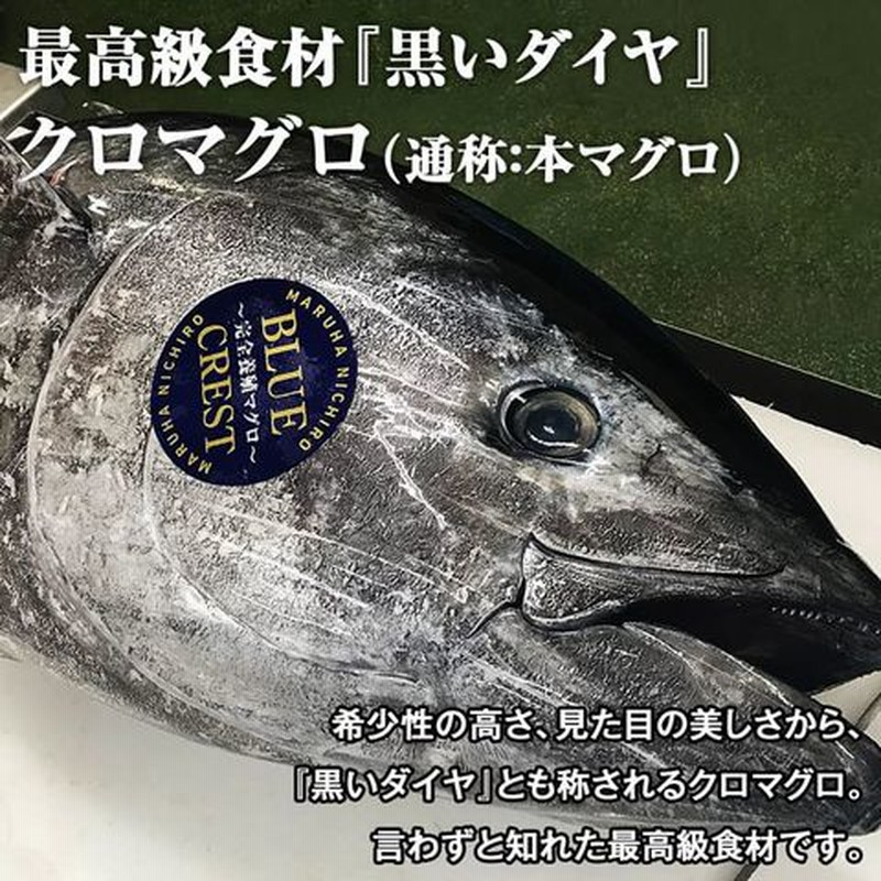 年内発送の最終受付12 22まで 年始は1 4以降順次出荷 本まぐろ 産地直送 完全養殖 3サク約500g 赤身 1サク 中トロ 2サク クロマグロ 本マグロ 鮪 ま 通販 Lineポイント最大1 0 Get Lineショッピング