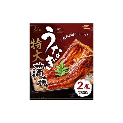 ふるさと納税 福岡県 久留米市 特大うなぎ蒲焼約400g×2尾