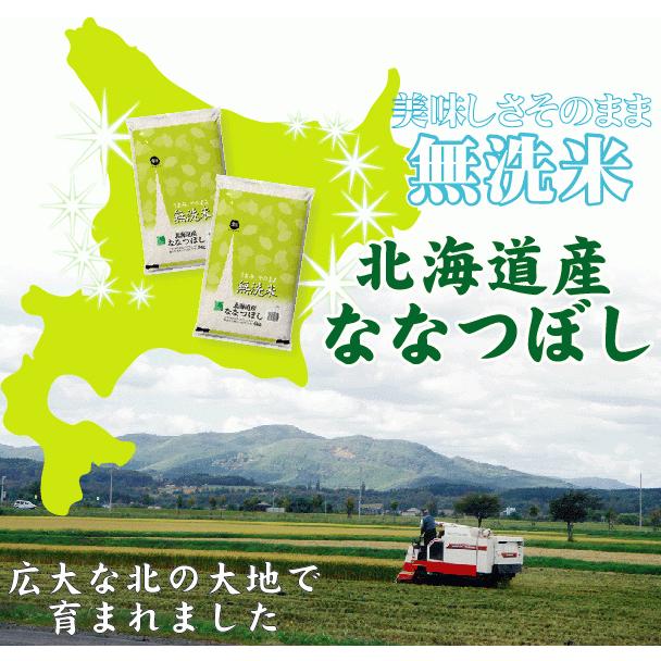 新米 令和5年産 無洗米 5kg×4 ななつぼし 北海道産 20kg 送料無料  特A