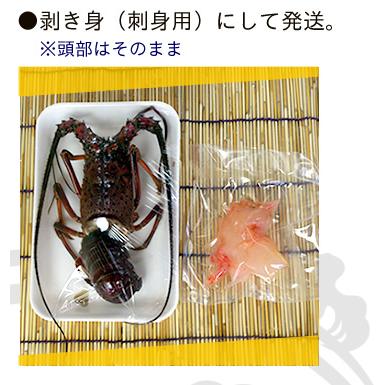 捌いて発送　国産天然　伊勢エビ　4尾　1kg　[伊勢海老]