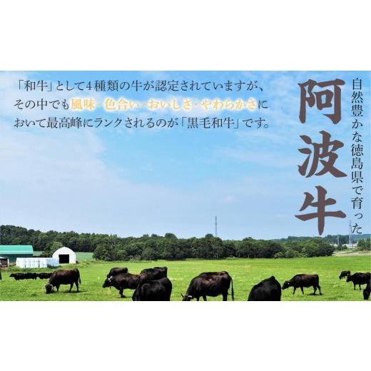 ふるさと納税 徳島県 徳島市 一貫牛 赤身焼肉＆しもふり焼肉（500g)