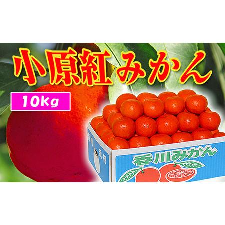 ふるさと納税 香川県のオリジナル品種 小原紅早生みかん約5kg×2箱 香川県宇多津町