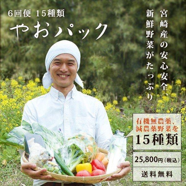 野菜セット やおパック ６回便　15種類　月１回お届け　送料無料