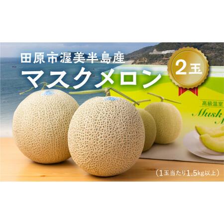 ふるさと納税 渥美半島産 マルカ農園のマスクメロン 2玉 (1玉1.5kg以上) めろん 箱詰め フルーツ 果物 田原市 産地直送 夏 10000円 1万円 愛知県田原市