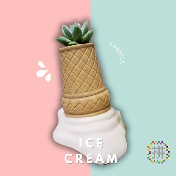 【拼肉肉】肉肉甜點店-融化冰淇淋多肉植物盲盒（植物隨機出貨，三吋盆穩根）