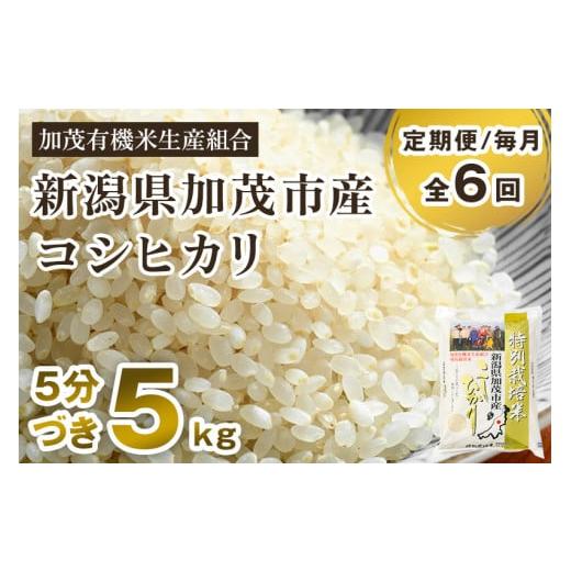 ふるさと納税 新潟県 加茂市 新潟県加茂市産 特別栽培米コシヒカリ 精米5kg 従来品種コシヒカリ 加茂有機米生産組合