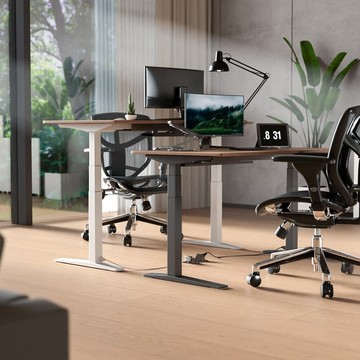 【全配版】Flexispot | 磁吸式電動升降桌 (內含理線架、延長線)