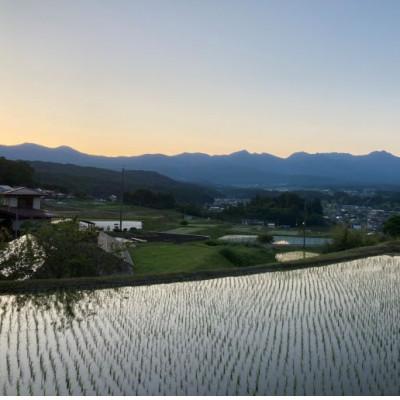 ふるさと納税 茅野市 霧ヶ峰高原からの美しい伏流水が育んだお米「信州茅野　米沢吉田米」精米 30kg(10kg×3個)