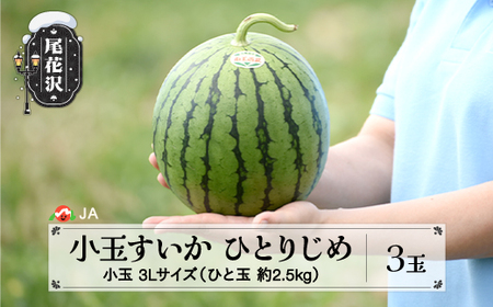 先行予約 すいか スイカ 尾花沢産 小玉すいか ひとりじめ3Lサイズ 約2.5kg×3玉 7月中旬～7月下旬頃発送 令和6年産 2024年産 尾花沢 すいか スイカ JA ja-suk3x3