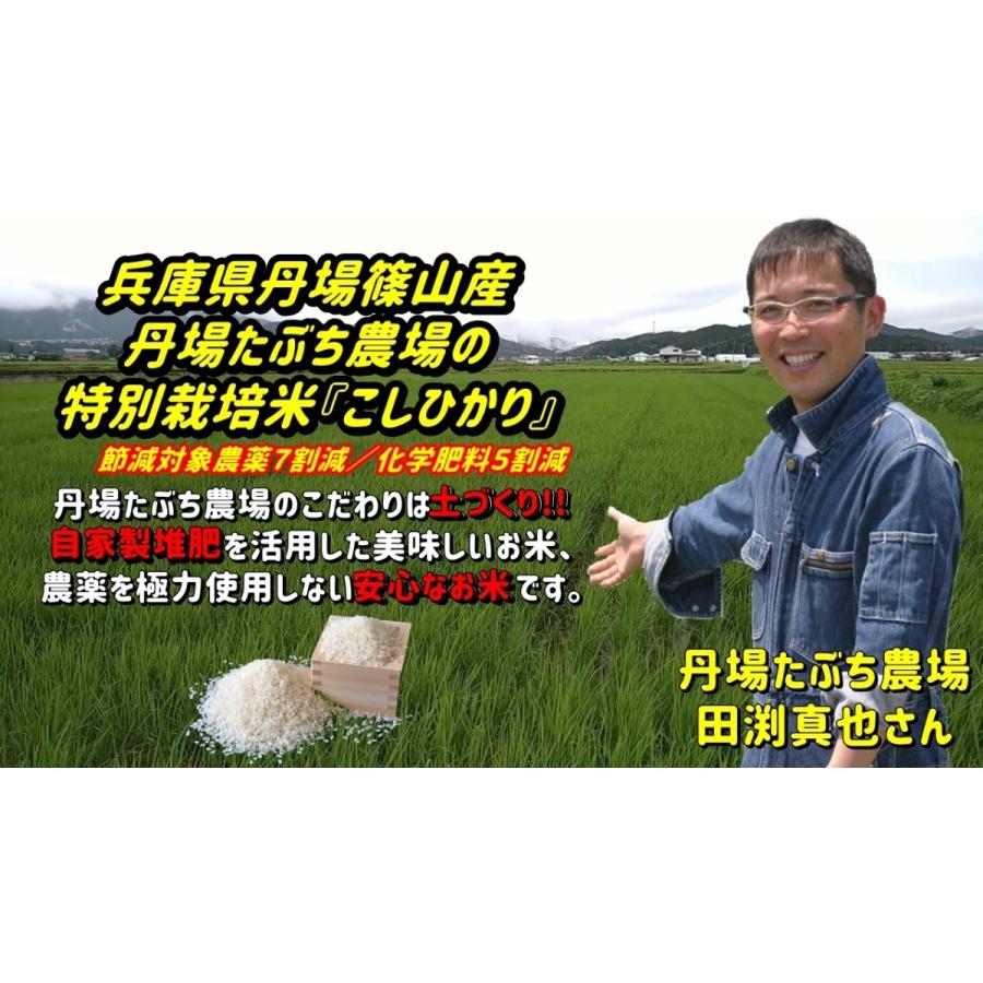 兵庫県丹波篠山産コシヒカリ 10Kg 　丹波たぶち農場（令和５年産）