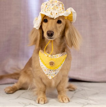 (10%捐公益)春日香氣系列-嬌羞小花口袋領巾+睡帽(鵝黃)