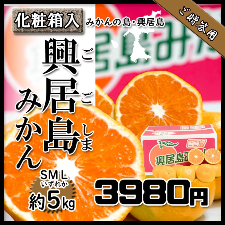 みかん お歳暮 贈答 興居島みかん 興居島 みかんの島より 美味しいみかん 約5ｋｇ 送料無料