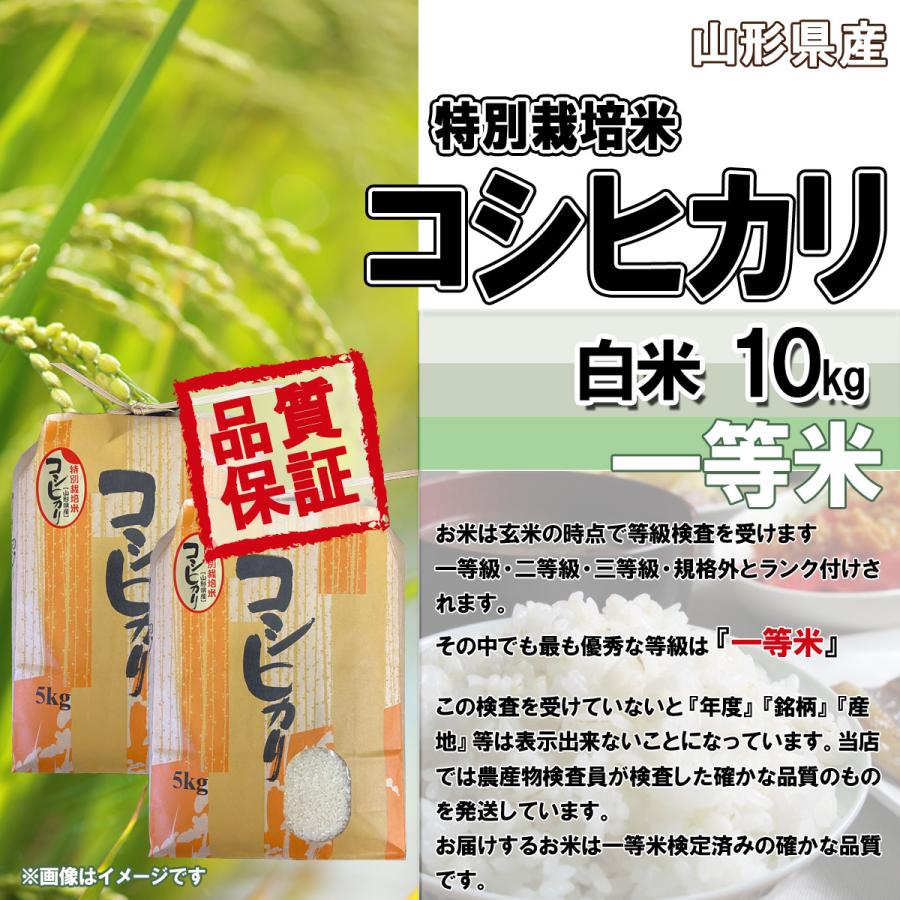 令和5年産 新米 送料無料 山形県産 特別栽培米 コシヒカリ 白米 5kg×2 10キロ 十キロ お米 おこめ 10kg