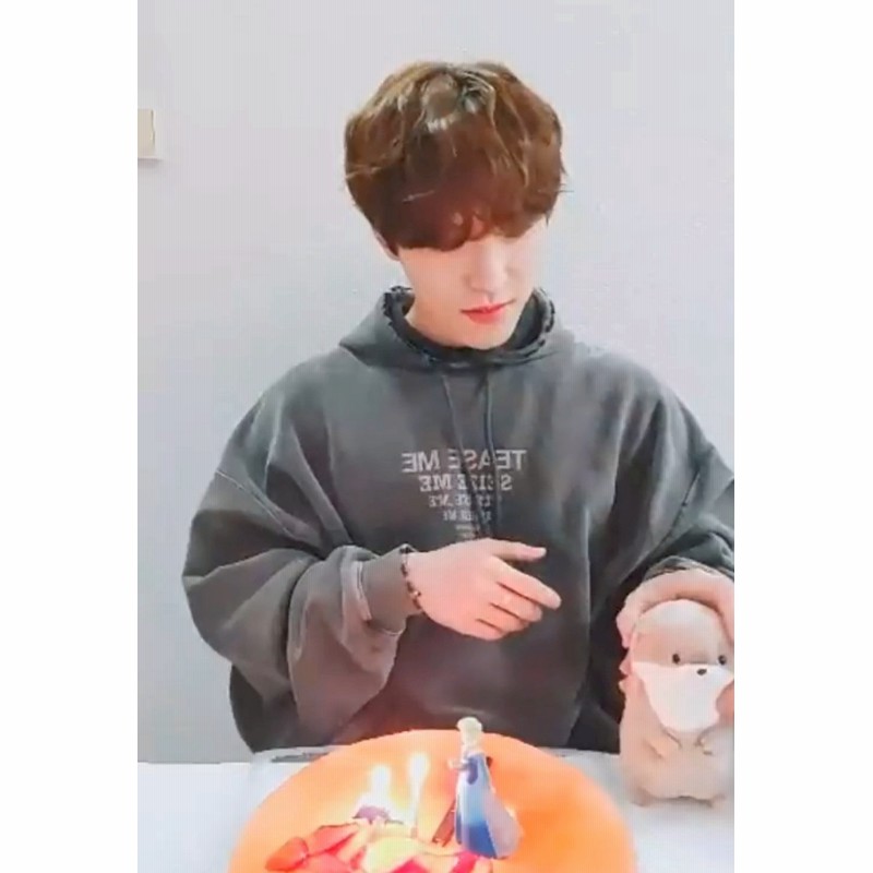 SEVENTEEN DINO JEONGHAN DOLL カワウソの人形です 動物 愛着