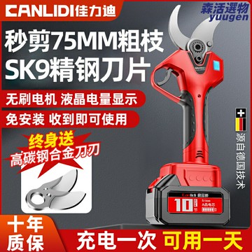 【充電快充】電動修枝剪 園藝剪刀 修枝剪 果樹剪 樹枝剪 充電式 鋰電動力 省力高效 果園修剪 園林綠化 家庭園藝