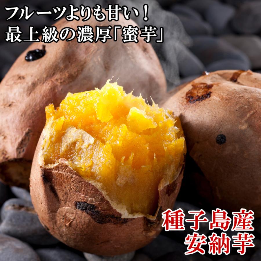 安納芋 種子島 4.5kg 甘い さつまいも 焼き芋 サツマイモ 蜜 芋 産地直送 ギフト 食品 食べ物 プレゼント