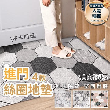 【進門絲圈地墊】刮泥地墊 門口地墊 地墊地毯 玄關地墊 地墊 地毯 pvc 刮泥絲圈地墊 進門地墊 絲圈地墊 腳踏墊