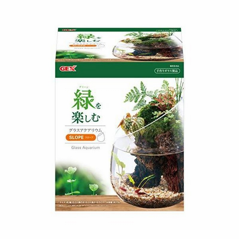 Gex Aquarium グラスアクア スロープ 水草 多肉植物 コケリウム テラリウム ガラス製 約1 5l 通販 Lineポイント最大0 5 Get Lineショッピング