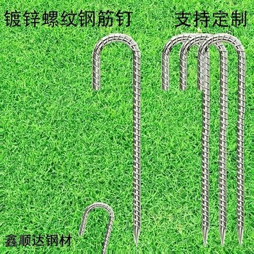 免運費🚀 鋼筋天幕地釘 戶外帳篷地樁 大棚牛地樁 防風固定栓 羊栓配件 地錨加粗 LX