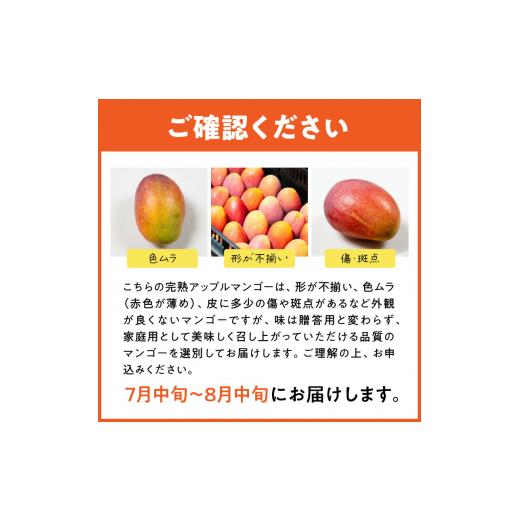 ふるさと納税 鹿児島県 和泊町 ≪ご家庭用≫東マンゴー園直送！完熟アップルマンゴー 2kg（４〜６玉） 