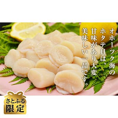 ふるさと納税 北見市 甘くて美味しいお刺身帆立1箱約500gセット