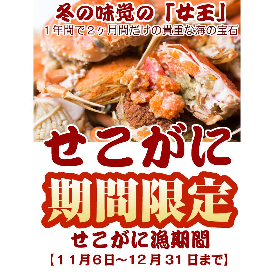 セコガニ せこがに 山陰沖産 訳有り 親がに 特大サイズ ５枚（訳あり180g前後）ご自宅用 セイコガニ 蟹 香箱カニ 送料無料