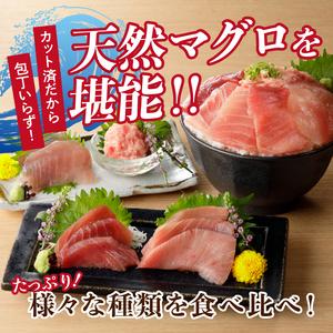 ふるさと納税 a10-589　焼津 天然 南 鮪 まぐろ マグロ 7点 セット 静岡県焼津市