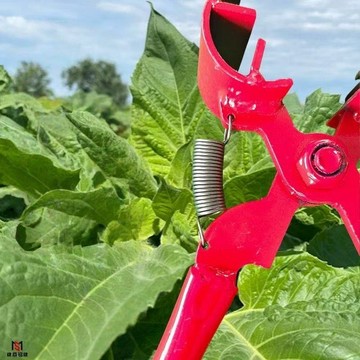 好物直購 嚴選好物 實用園藝工具 旱烤煙專用 農用環剝工具 剝皮器神器 人工環剝夾 煙草剝皮夾 樹皮環剝夾 家用園林一體
