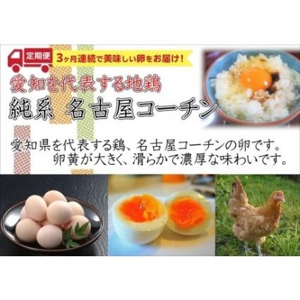 ふるさと納税 日本三大地鶏！！ 「純系　名古屋コーチンの卵」（30個）　本当に美味しい食べ物は調味料の味に負けません！    定.. 愛知県大府市