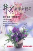 插花新手新視界【二手書_良好】TAAZE讀冊生活