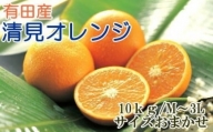 有田産清見オレンジ約10kg（サイズおまかせ・秀品）※2024年2月上旬～3月下旬頃に順次発送予定