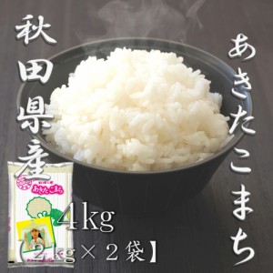 米 お米 令和5年産 秋田県 あきたこまち 2kg×2袋 合計 4kg