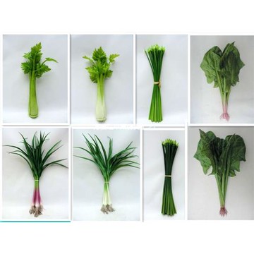 高仿真蔬菜模型假菜心生菜油麥菜波菜帶葉芹菜大蒜裝飾品櫥柜擺設