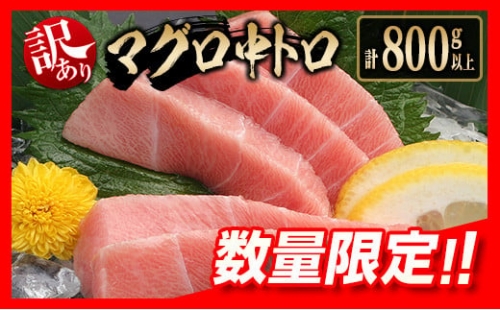 訳あり≪数量限定≫マグロ中トロ(計800g以上)　魚　魚介　国産 E40-23