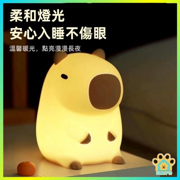 台灣出貨🏆 水豚小夜燈 小夜燈擺件 小禮物 豚鼠硅膠創意禮物  氛圍燈 豚鼠燈 臥室燈 床頭燈 擺件 夜燈 材質發光