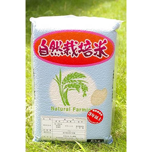 秋田県 大潟村産 石山農産 玄米 ササニシキ 無肥料 無農薬 5kg