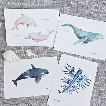 | 微光Ocean | 插畫明信片_海洋生物系列