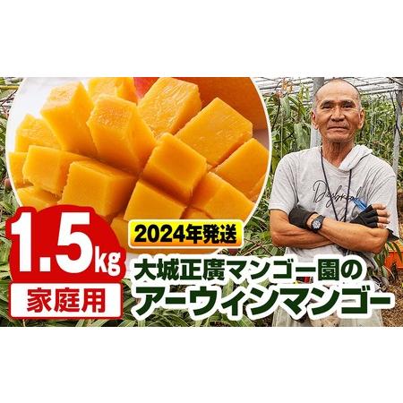 ふるさと納税 大城正廣マンゴー園のアーウィンマンゴー（家庭用）1.5kg 沖縄県南風原町