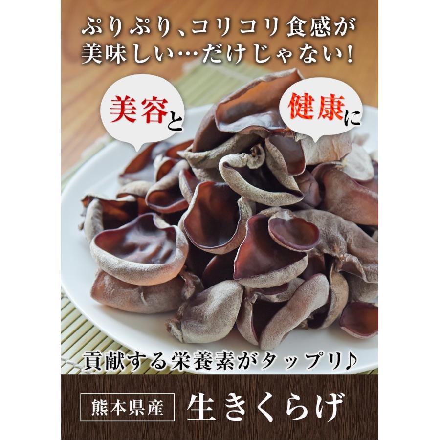 生きくらげ 熊本産 200g (50g×4パック) 送料無料 クール便 国産 食物繊維 木耳 2セット購入で1セットおまけ  3〜7営業日以内に出荷(土日祝除く)