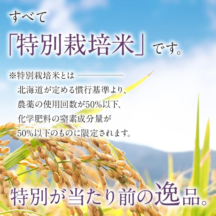 新米 特別栽培米 ゆきひかり 白米 4kg 減農薬 農家直送 令和5年産 北海道産米 送料無料 12 10はクーポンで5％OFF