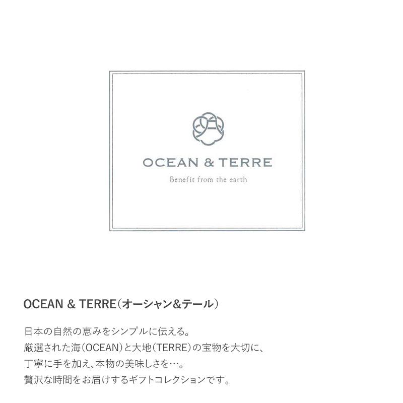 うどん 贈答用 おしゃれ 高級 ギフト 甘くないもの 詰め合わせ OCEAN ＆ TERRE 野菜うどんセットG