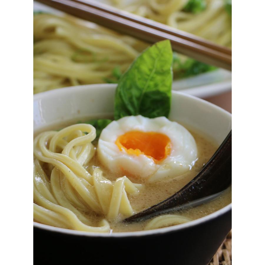 魚介豚骨 もっちり つけ麺 ２食入り ３袋セット たれ付き 濃厚とろみ仕上げ 送料無料 ラーメン 半生熟成麺 瀬戸内麺工房 なか川